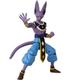 beerus-dragon-stars