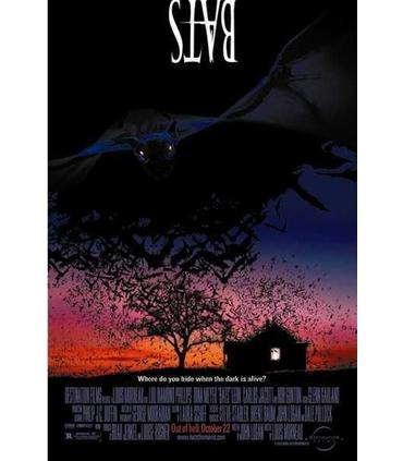 bats-dvd-reacondicionado