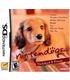 nintendogs-dachshund-ndsni-reacondicionado