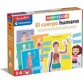montessori-human-body