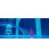 frozen-el-reino-del-hielo-sing-along-dvd