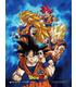 cuadro-3d-lenticular-dragon-ball-super-power-of-saiyans