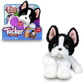 tucker-el-perro-dormilon