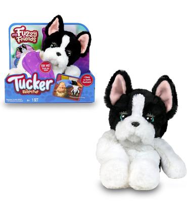 tucker-el-perro-dormilon