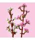 lego-40725-flores-de-cerezo