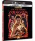 el-ultimo-dragon-bd-br