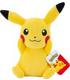 pokemon-pikachu-20cm-psitting-eyes-open