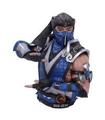 FIGURA MORTAL KOMBAT BUSTO SUB-ZERO 30 CM - NEMESIS NOW