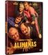 alimaas-dvd-dvd