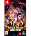 Double Dragon Collection Switch