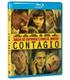 contagio-bd-br