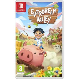 everdream-valley-switch
