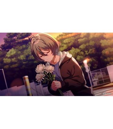 since-memories-off-the-starry-sky-switch