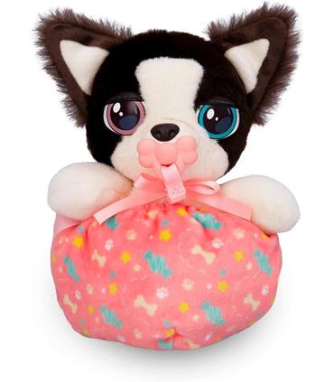 mini-border-collie-baby-paws