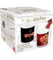 TAZA CER?MICA HARRY POTTER  325ML CAMBIO COLOR (EN CAJA REGA