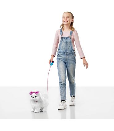 pets-alive-perrita-andadora