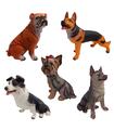 Perritos Decorativos