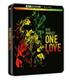 bob-marley-one-love-steel-bd-br