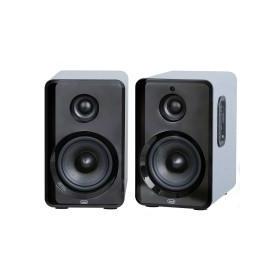 avx-565-bt-50w-two-way-ampspkr-acctef