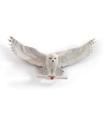 ESCULTURA DE PARED HEDWIG HARRY POTTER