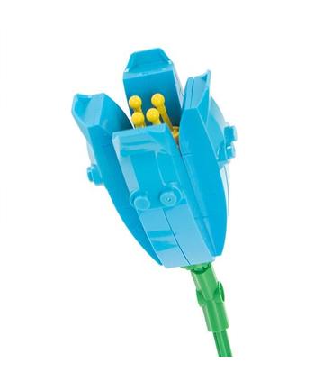 flower-bouquet-fiorito-tulipan