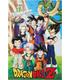 dragon-ball-z-unbreakable-bonds-wood-p