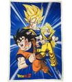 Dragon Ball Z - Goku Ssj Forms Sherpa Bl