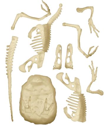 arqueojugando-velociraptor-fosforescente