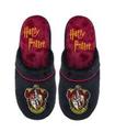 ZAPATILLAS GRYFFINDOR (EU40-45  US7-11)