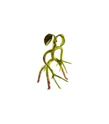 fig-bendable-bowtruckle-animales-fantsticos