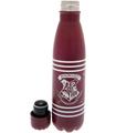 Botella Harry Potter (écusson et rayures) 550ml