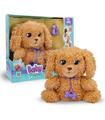 Love & Care Labradoodle Baby Paws