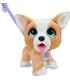 furreal-poop-a-lots-corgi-peluche-intera