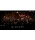 darkest-dungeon-ii-xbox-one-x