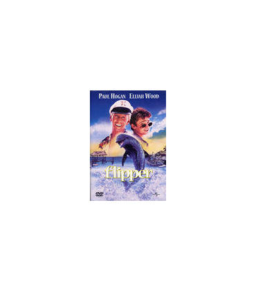 flipper-dvd-reacondicionado