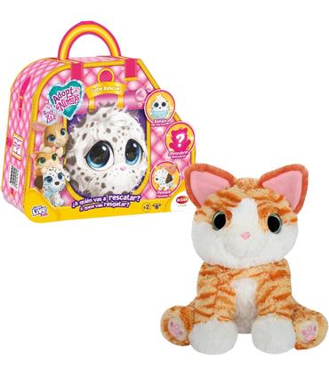 adoptanimals-cutie-rescue-surtido