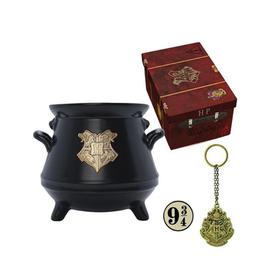 pack-premium-harry-potter-taza-3d-llavero-pin