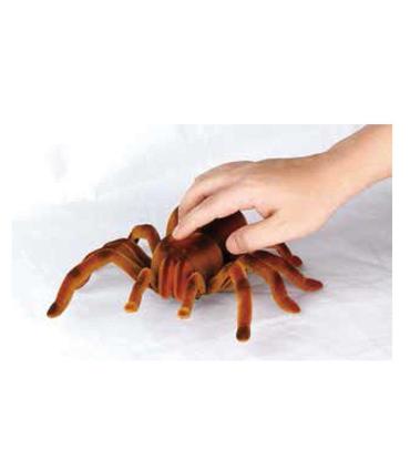 tarantula-rc