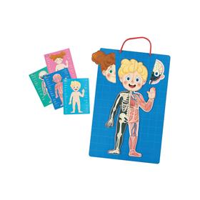 aprende-el-cuerpo-humano