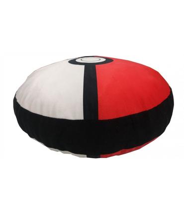 cojin-3d-40c-pokemon-1130