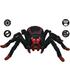 tarantula-arana-spider-control-rc