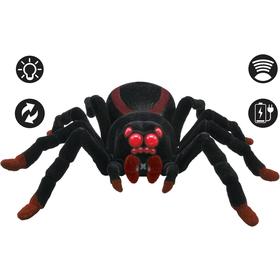 tarantula-arana-spider-control-rc