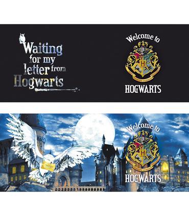 harry-potter-mug-heat-change-460-ml