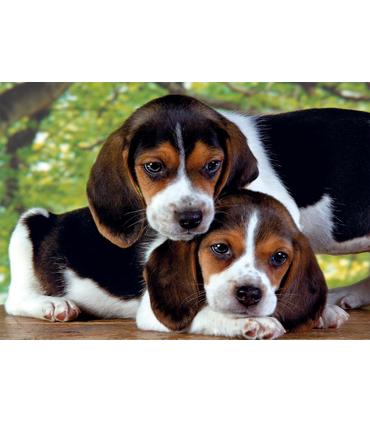 puzzle-500-piezas-cb-close-together