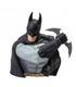 figura-batman-arkham-asylum-px-batman-bank