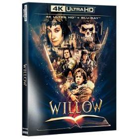 willow-edicin-especial-funda-bd-br