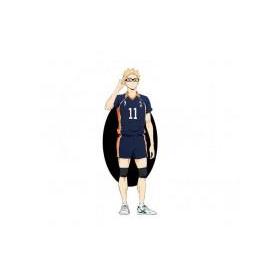 fig-iksho-haikyu-kei