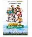HEROES DE CENTRAL PARK -DVD (DVD)