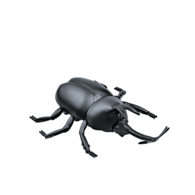 rc-escarabajo