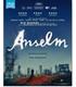 anselm-bd-br
